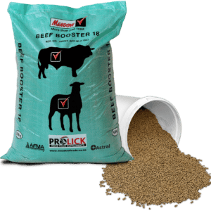 Beef Booster 18