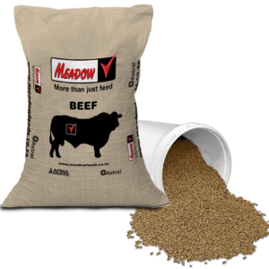 Complete Feedlot Finisher 11