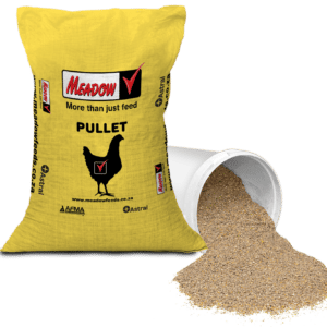 Pullet Pre-starter