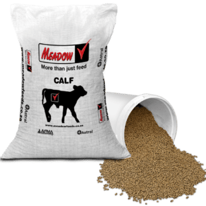 Dairy Calf Starter 18