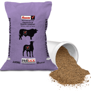 Paddock Supplement
