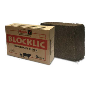 Ruminant Block