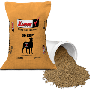 Complete Sheep Adaptation Feed 15.5