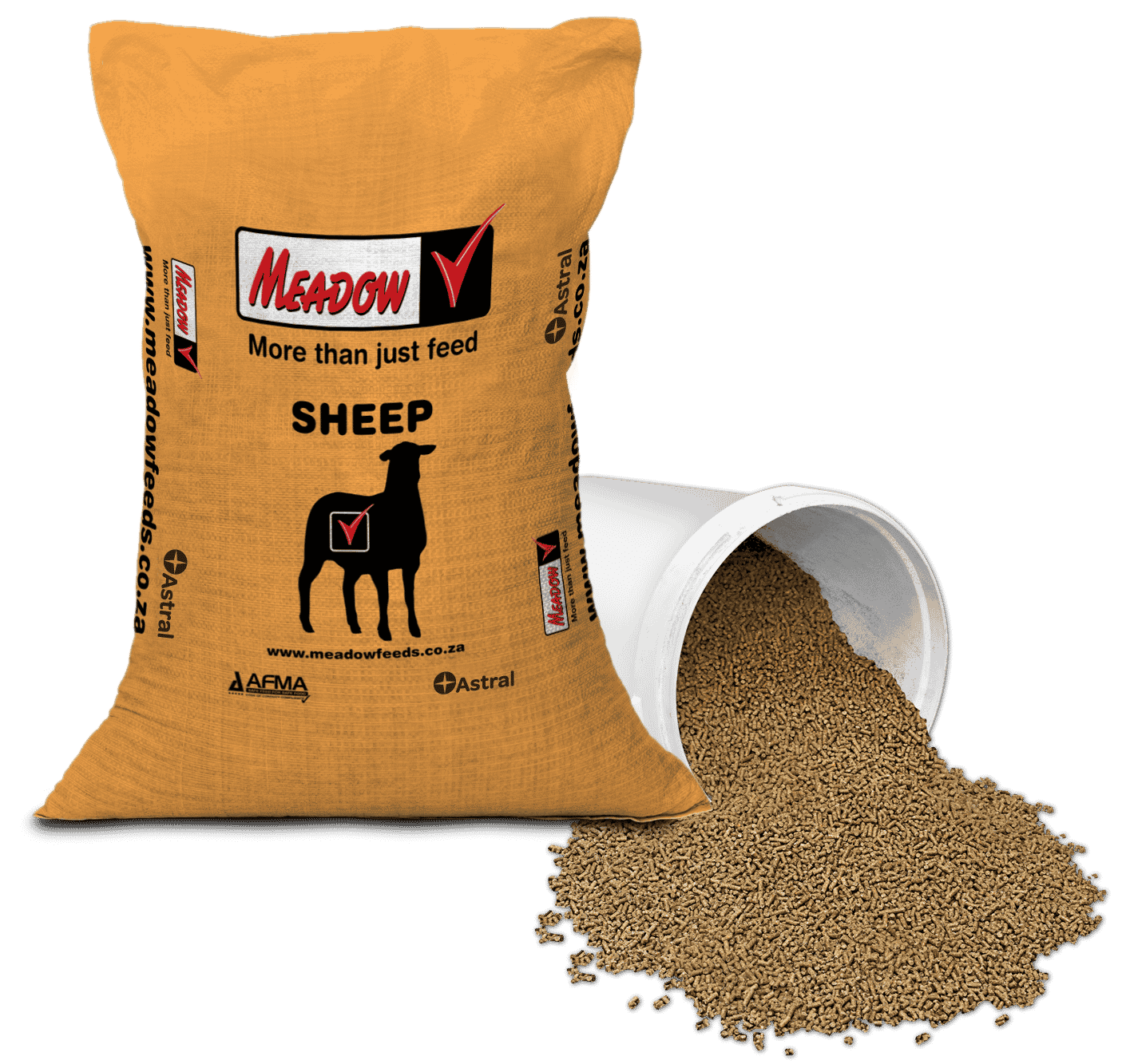 Ewe And Lamb 13 Meadow Feeds