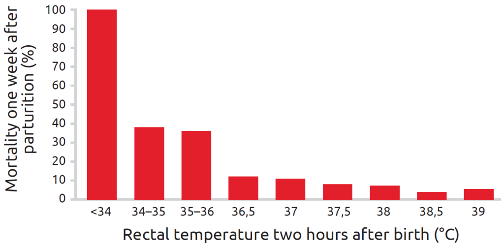 The effect of piglets' rectal temperature two hours after birth on mortality during the first week after farrowing