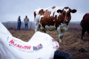 The partnership between dairy farmers and animal nutritionists